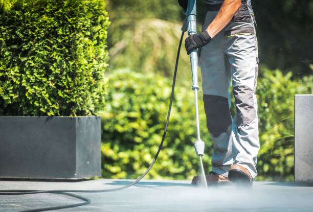 Best Gutter Cleaning and Brightening in Odem, TX
