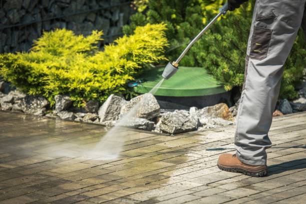 Best Concrete Surface Cleaning in Odem, TX