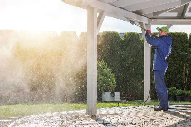 Best Building Exterior Pressure Washing in Odem, TX