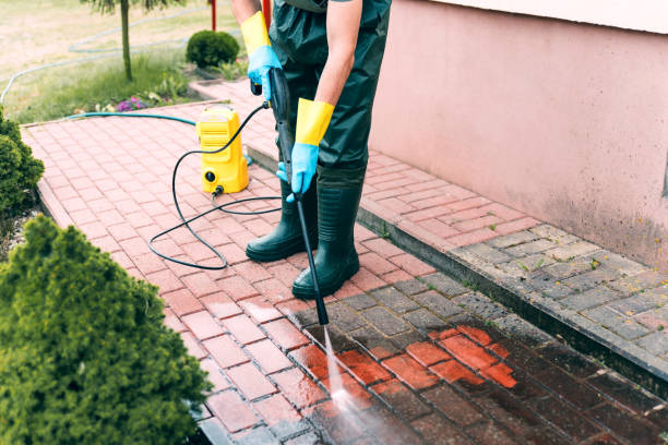 Best Residential Pressure Washing in Odem, TX