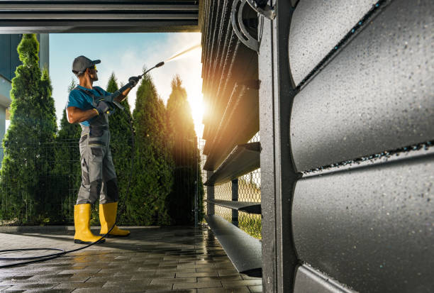 Best Window and Screen Pressure Cleaning in Odem, TX