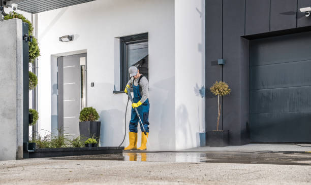 Best Parking Lot Cleaning in Odem, TX