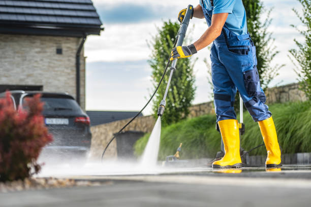 Best Roof Cleaning and Mildew Removal in Odem, TX